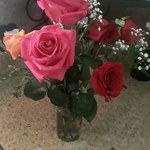 Meet your Posher, Crystal